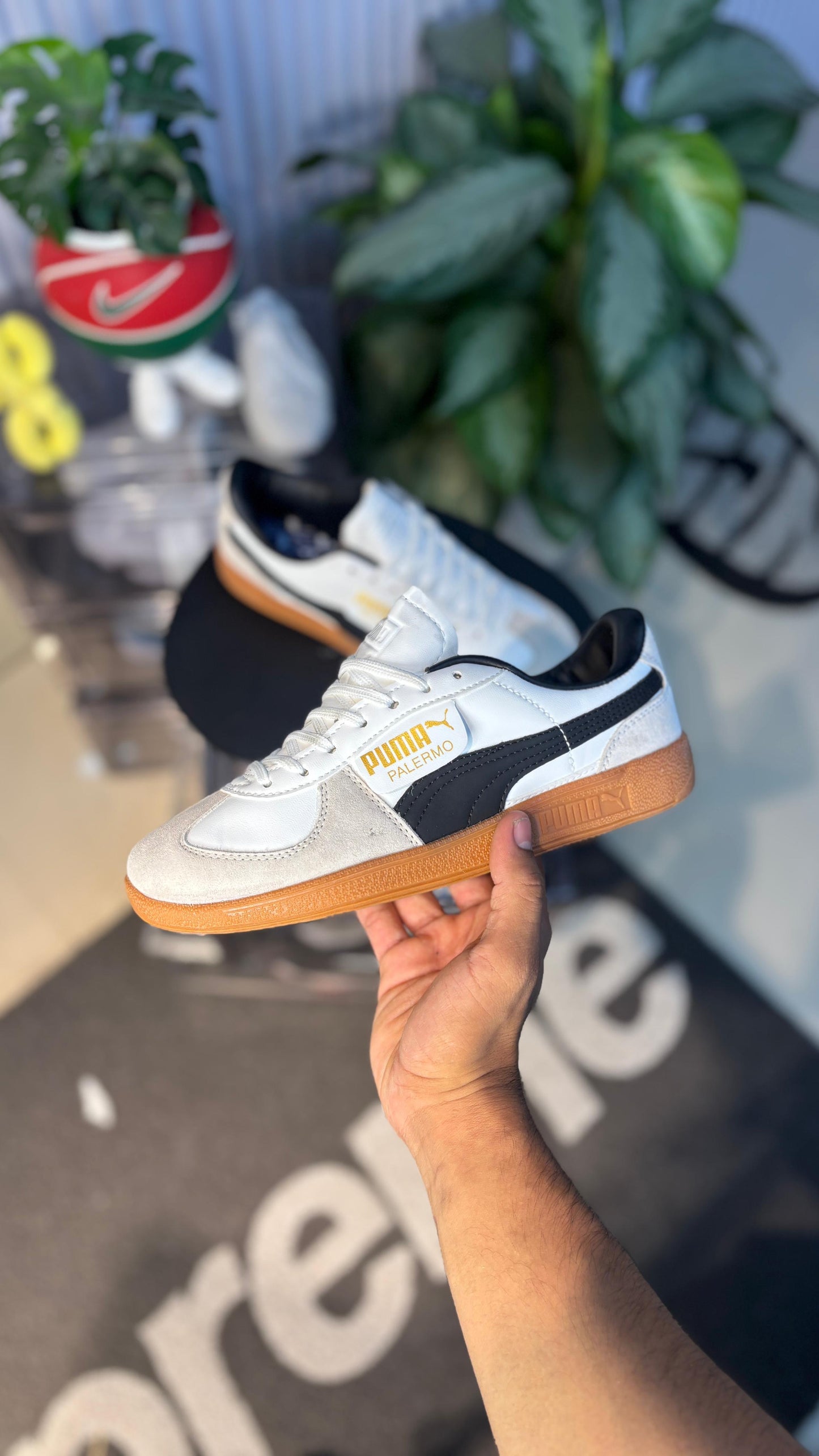 PUMA PALERMO CLÁSICO