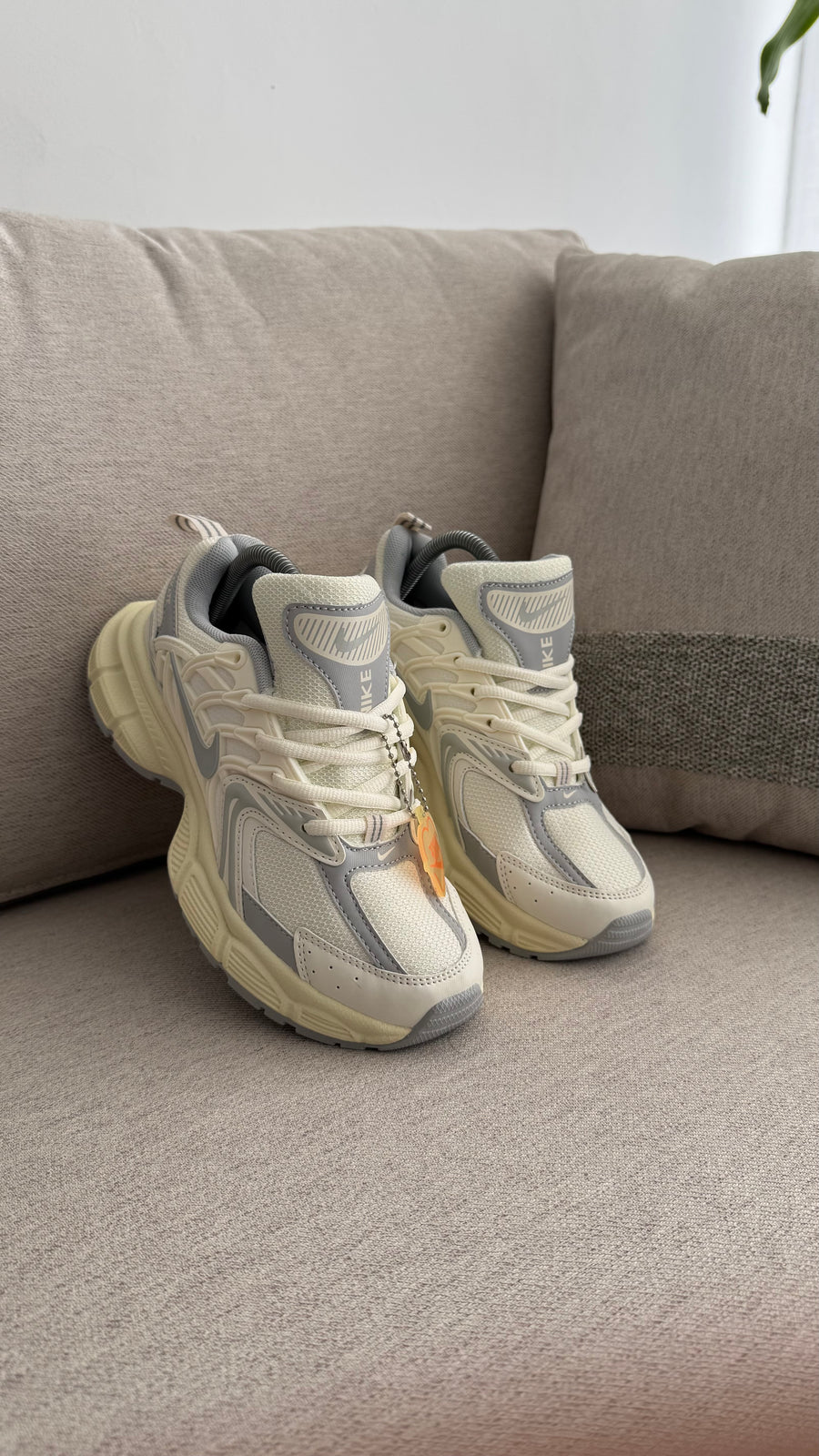 NIKE SKATE BEIGE GRIS