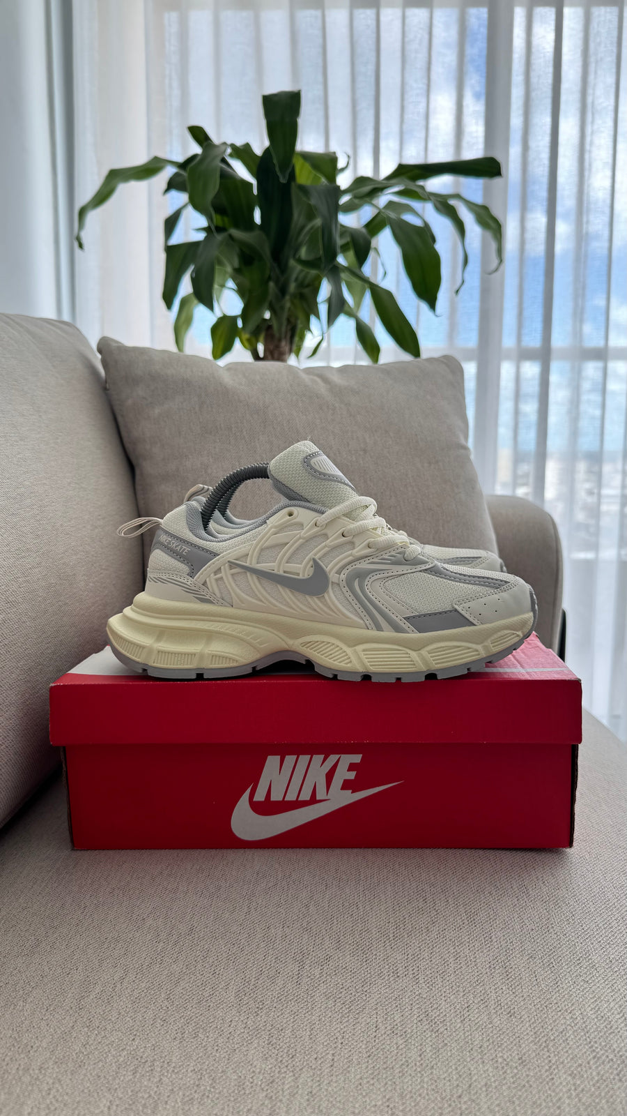 NIKE SKATE BEIGE GRIS