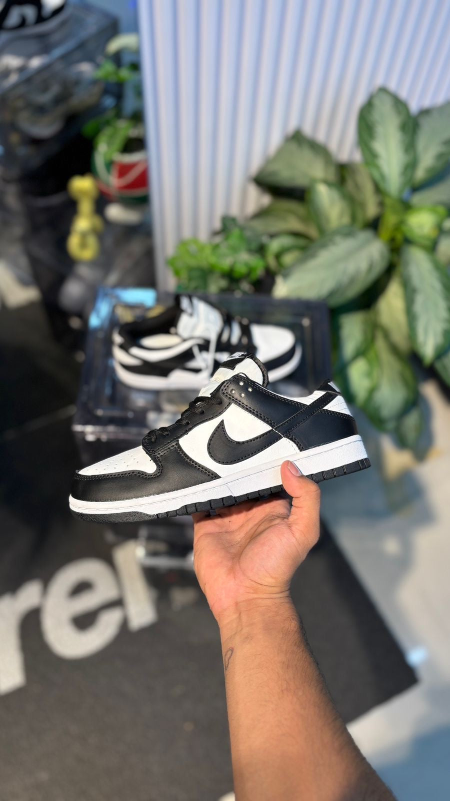 SB PANDA