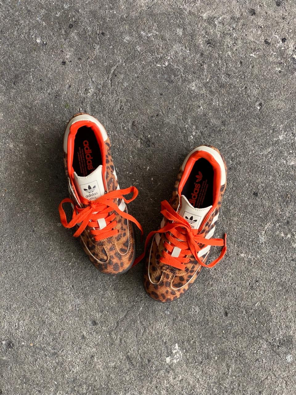 ADIDAS SAMBA LEOPARDO