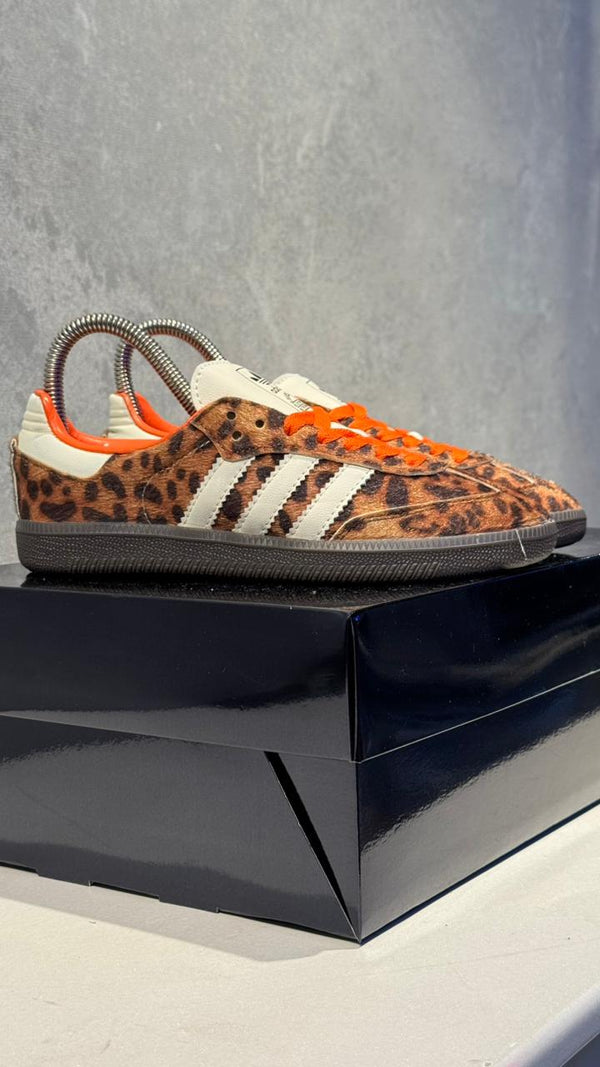 adidas samba leopardo