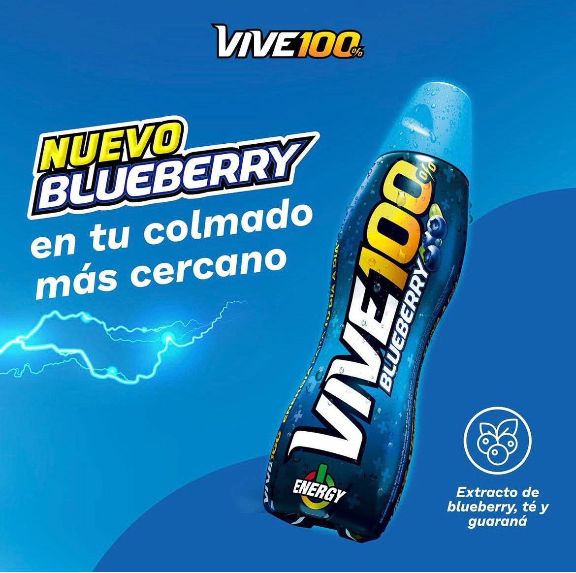 BEBIDA ENERGIZANTE VIVE 100 (240 ml)
