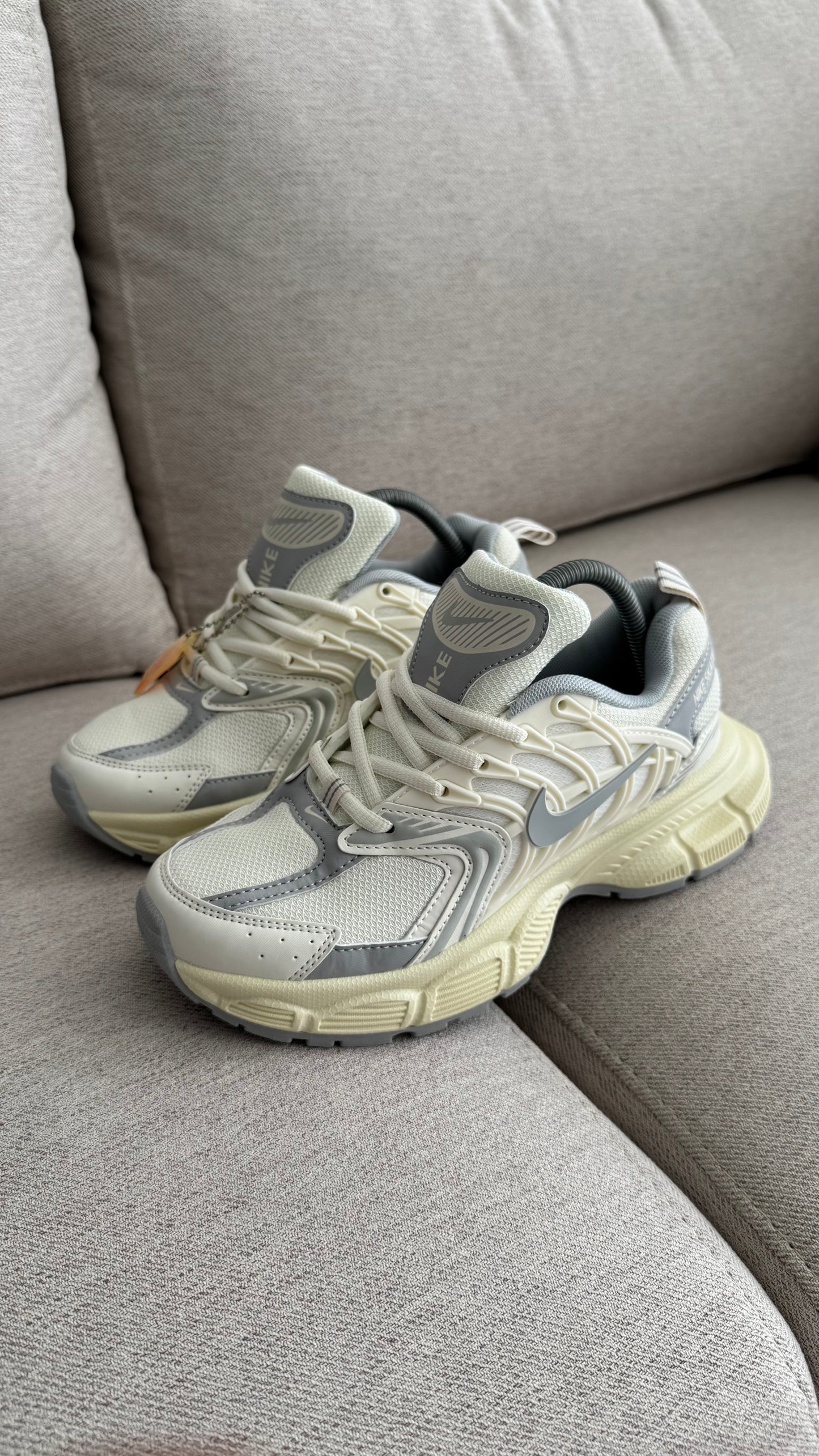 NIKE SKATE BEIGE GRIS