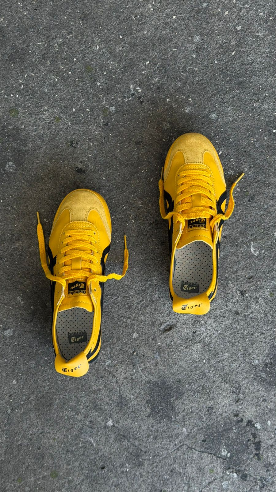 ONIZUKA TIGER AMARILLO NEGRO