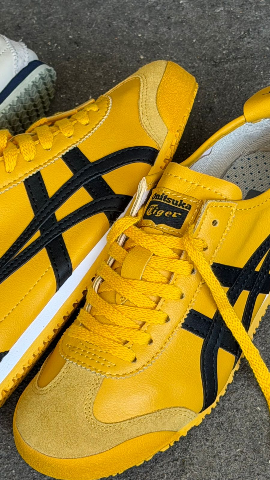ONIZUKA TIGER AMARILLO NEGRO