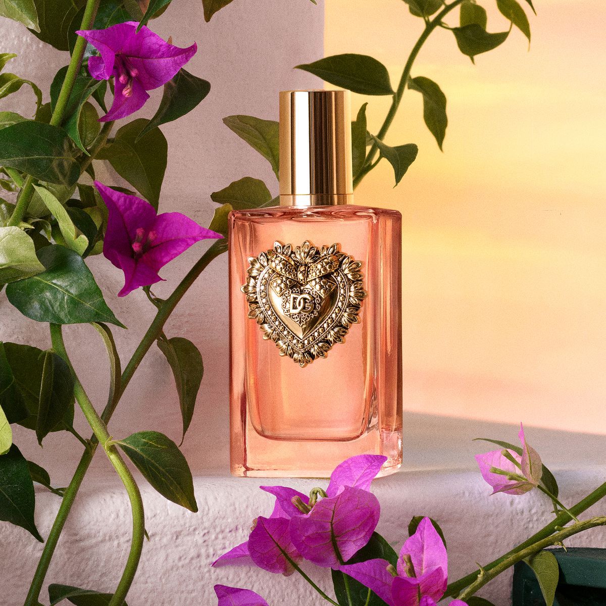 PERFUME DOLCE GABBANA DEVOTION