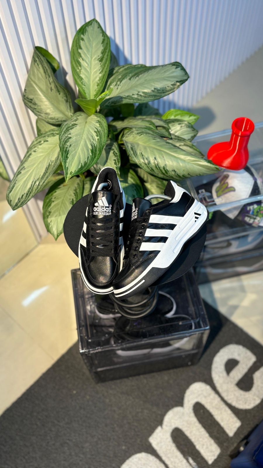 ADIDAS NASTASE